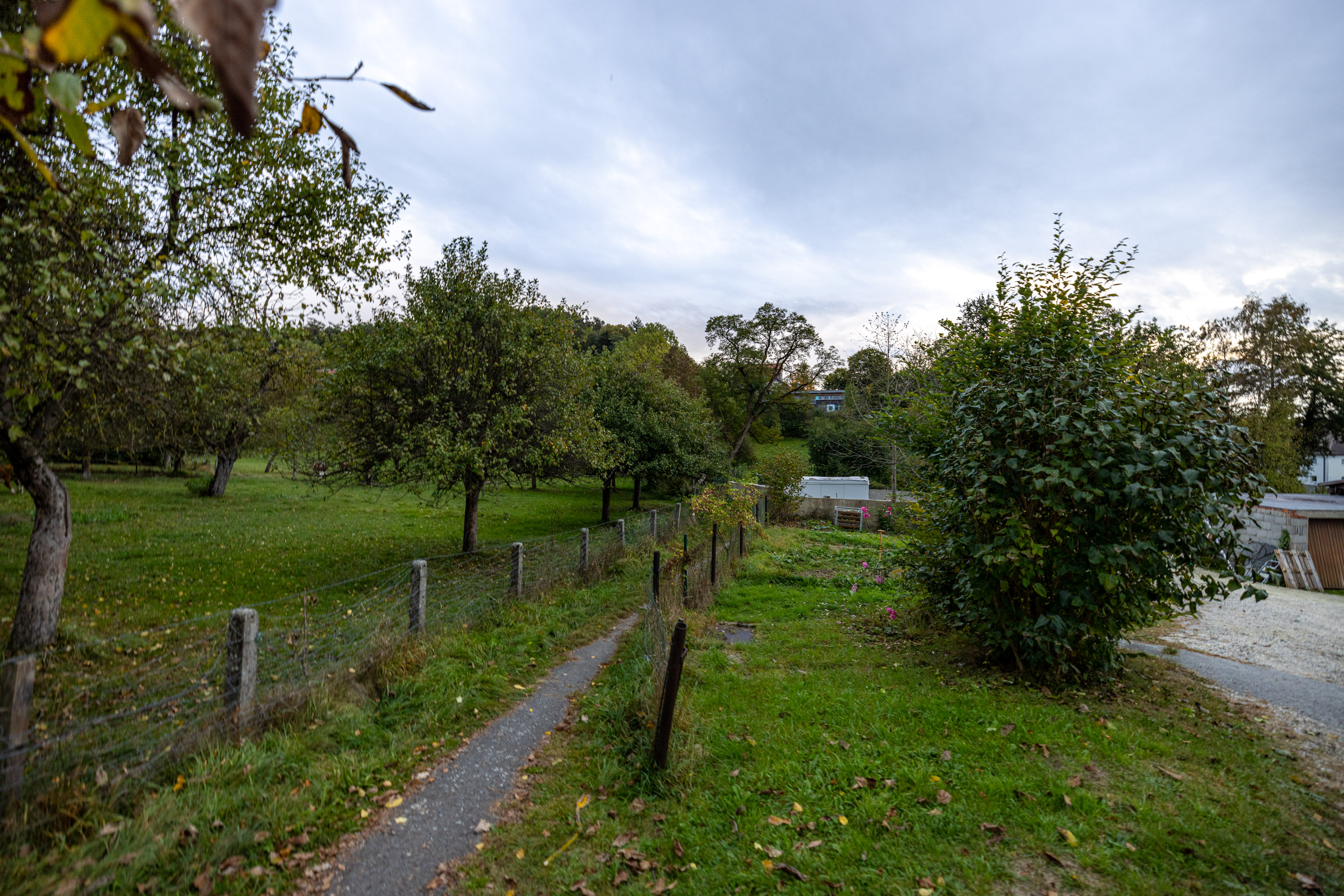 20231014173410 R5D 4176